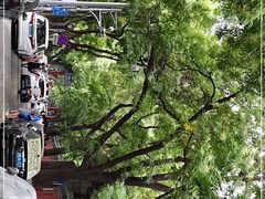 -北京国子监胡同