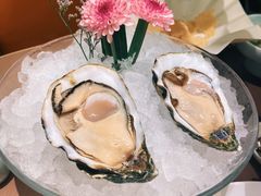 生蚝-協成海鮮火鍋(老店)