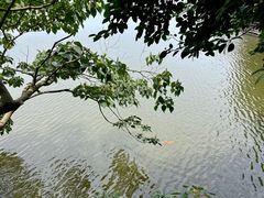 -桃花岛风景旅游区