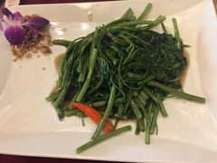 -Daddy Nimman Chiang Mai