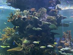 -多彩贵州城极地海洋世界