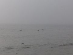 -北戴河东海水浴场