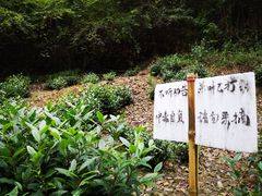 -水墨汀溪风景区