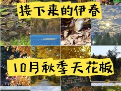 -五营红松林海景区