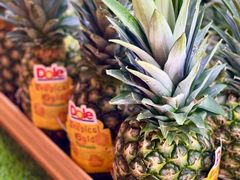 -东吴水韵(吴中店)