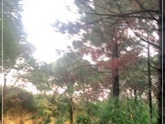 -艾溪湖湿地公园