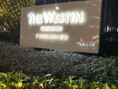 -红棉中餐厅·广州海航威斯汀酒店