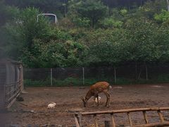 -北京山里寒舍度假酒店