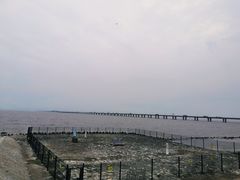 -南汇新城海滩