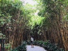 景点-东莞市可园博物馆