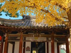 -常熟方塔园