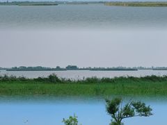 -盐城丹顶鹤湿地生态旅游区