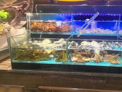 -苏格里岛自助海鲜烤肉火锅(集美万达店)
