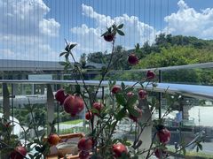 -点都德(广州白云山景区南门店)