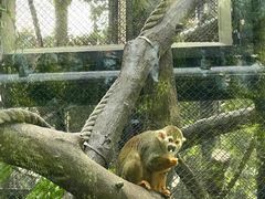 -石排湾郊野公园