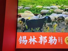 -东镇老火锅(城阳瑞阳路店)