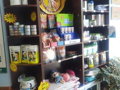 -瑞派·关忠动物医院·异宠专科·犬猫肿瘤·皮肤专科(望京店)