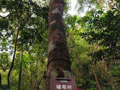 -七仙岭温泉国家森林公园