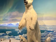 -陕西自然博物馆