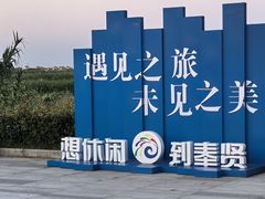 -碧海金沙