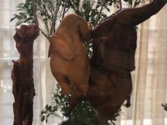 -沈阳和平艾美酒店新食谱西餐厅