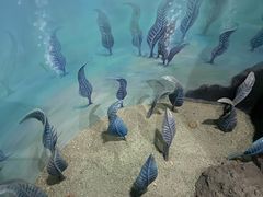 -浙江自然博物院(杭州馆)