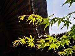 -杭州半山国家森林公园