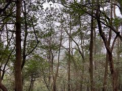 -北高峰