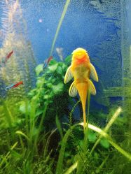 点击看大图 -宝燕乐园(闵行旗舰店)