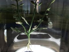 -辽宁古生物博物馆
