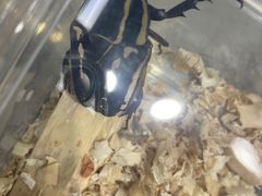 -三旗百汇商品城