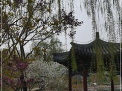 -北坞公园