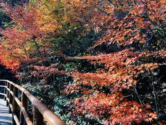 -崂山九水游览区