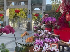 -溪岸路花鸟市场