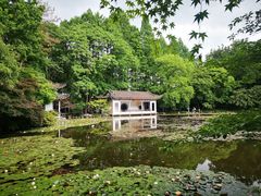 -山外山菜馆(玉泉路店)
