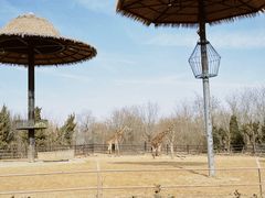 -济南野生动物世界