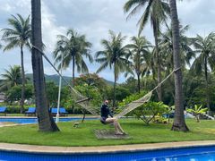 -三亚亚龙湾金棕榈度假酒店