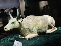 -宁夏博物馆
