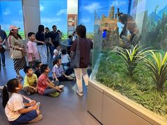 -国家自然博物馆