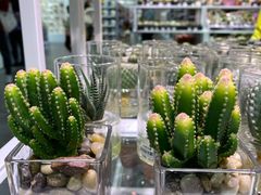 -KKV(深圳宏发大仟里店)