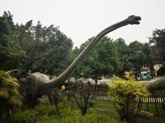 -自贡恐龙博物馆