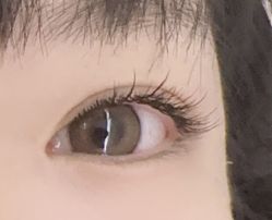 -丽尔美睫