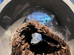 -上海当代艺术博物馆