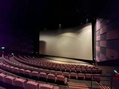 -金逸影城(武汉人信汇IMAX店)