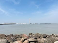 -上海吴淞炮台湾国家湿地公园