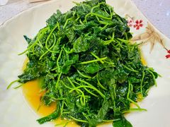 -海宁煲农家菜(惠南镇店)