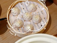 金奖头牌鲜肉小笼包-苏小柳点心·手作小笼包(浦东嘉里城分院)