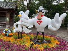 -大湾区中央湿地公园