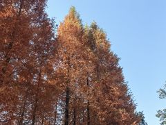 -白鹭湾湿地公园