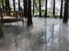 -东湖落雁景区
